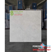 Gạch matt mờ lát nền 120x120 ấn độ cao cấp Hóc Môn