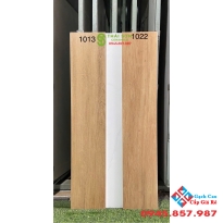 Gạch thanh giả gỗ 20x100 trung quốc