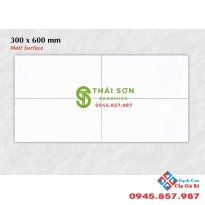 Gạch ốp tường 30x60 apodio màu trắng mờ cao cấp