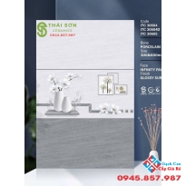 Gạch ốp tường 30x60 bóng kiếng bộ đậm nhạt cao cấp 