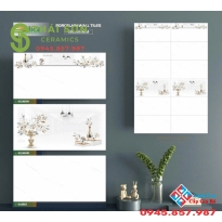 Gạch cmc 30x60 bóng kiếng trắng vân mây ốp tường phòng khách đẹp