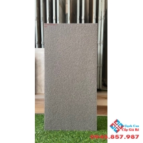 Gạch lát nhà vệ sinh 30x60