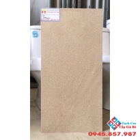 Gạch ốp tường toilet giá rẻ 30x60