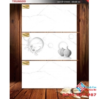 Gạch ốp tường 30x60 trung đô giá rẻ