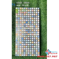 Gạch ốp tường nhà tắm 30x60 nhũ vàng men bóng 