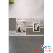 Gạch ốp tường giá rẻ 30x60 mới nhất