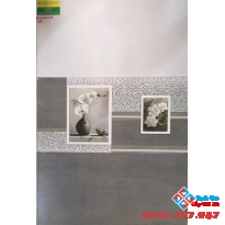 Gạch ốp tường giá rẻ 30x60 mới nhất