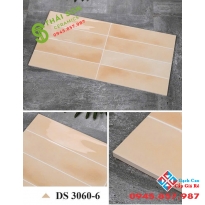 Gạch ốp tường trang trí 30x60 men bóng giả thẻ trung quốc