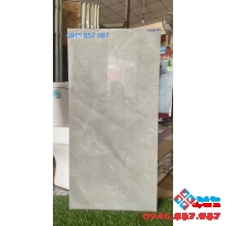 Gạch ốp tường phòng khách 40x80 bóng kiếng