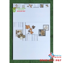 Gạch ốp 40x80 phương nam cao cấp tại Q6