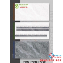 Gạch tasa 40x80 bóng kiếng ốp tường nhà đẹp