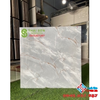 Gạch 600x600 bóng kính cao cấp Q2