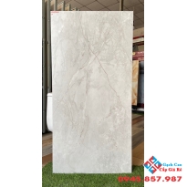 Gạch nhập khẩu ấn độ đá mờ 60x120