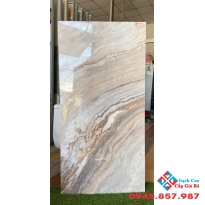 Gạch bóng kiếng 60x120 ấn độ vân marble