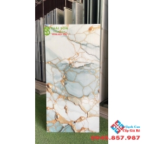 Gạch ấn độ 60x120 bóng kiếng nền trắng xanh chỉ vàng