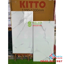 Gạch 60x120 bóng kiếng ấn độ giá rẻ