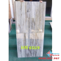 Gạch lát nền vân gỗ ánh kim 60x120 cao cấp
