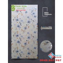 Gạch ốp tường  60x120 apodio dày 10 ly hiệu ứng rải hạt vân tự nhiên