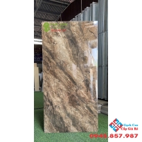 Gạch 60x120 bóng kiếng lát nền catalan màu nâu đất