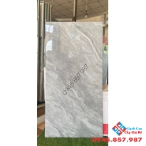 Đá đồng chất cao cấp 60x120 trung quốc