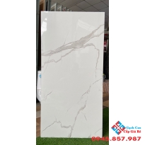 Gạch 60x120 bóng kiếng hcm