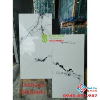 Gạch ấn độ 60x120 bóng kiếng Antique Statuario