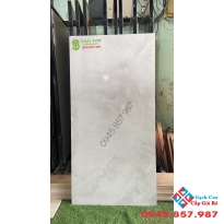 Gạch phòng khách 60x120 nhập khẩu cao cấp
