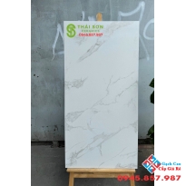 Gạch lát nền matt caving 60x120 vân 3D cao cấp