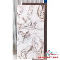 Gạch 60x120 trung quốc