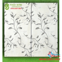 Gạch ốp vách tivi 60x120 trang trí ấn độ cao cấp