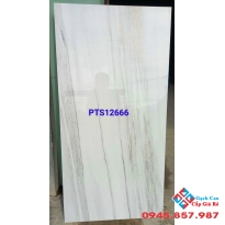 Gạch ánh kim cao cấp 600x1200 trung quốc