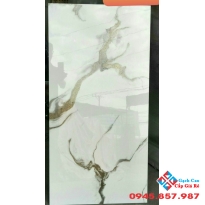 Gạch nhũ kim trung quốc 60x120 lát phòng khách đẹp