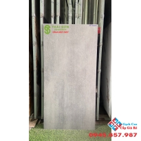 Gạch viglacera đá mờ 60x120 lát nền