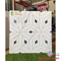 Gạch ốp lát ấn độ 60x60