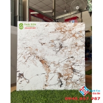 Gạch ấn độ cao cấp tại hcm mua ở đâu giá tốt