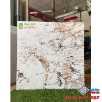 Gạch ấn độ cao cấp tại hcm mua ở đâu giá tốt