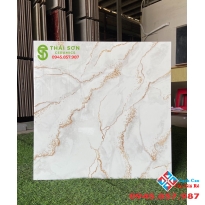 Gạch ốp lát bóng kiếng 60x60 cao cấp Gò vấp