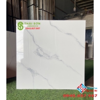 Mua gạch lát nền giá rẻ ở đâu tại hcm