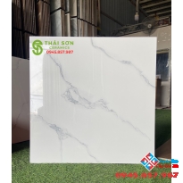 Mua gạch lát nền giá rẻ ở đâu tại hcm