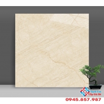 Gạch bóng kiếng 60x60 catalan giá rẻ tại bình chánh