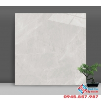 Gạch bóng kiếng trắng xám 60x60 catalan giá rẻ