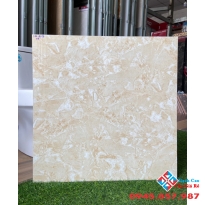 Gạch 600x60 bóng kiếng giá rẻ quận 8