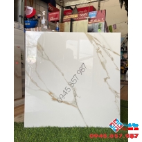 Gạch vi tinh siêu bóng 60x60 cao cấp