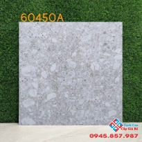 Gạch ốp nhà tắm 60x60 terazzo cao cấp