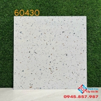 Gạch 60x60 lát nền terrazzo giá bao nhiêu