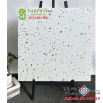 Gạch ốp lát nội ngoại thất 60x60 terrazzo ấn độ