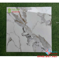 Gạch trung quốc cao cấp khắc kim 60x60