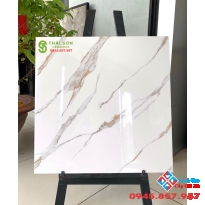 Gạch granite cao cấp 60x60 bóng kiếng