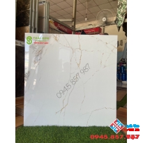 Gạch trắng vân khắc kim 80x80 cao cấp mới nhất 2022