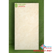 Gạch ấn độ 80x160 lát nền vân đá vàng bóng kiếng